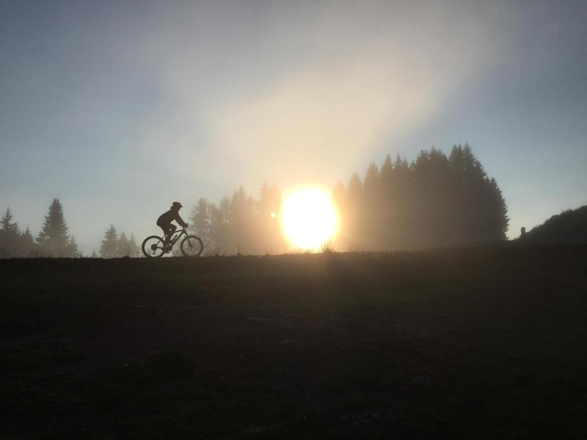 Ferienwohnungen Forellenhof Waldner Gundersheim Bagian luar foto